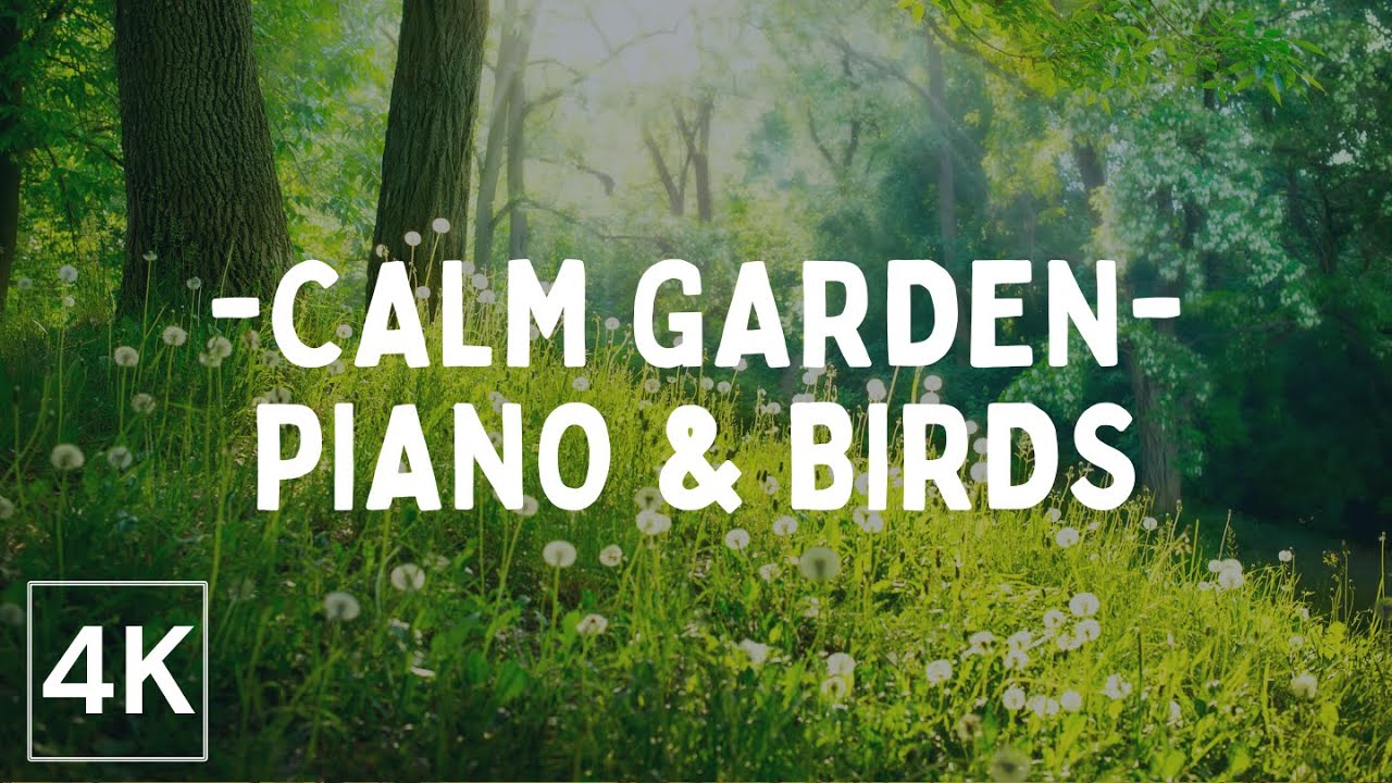 30 Minutes Morning Flower Garden ASMR 🌸 | Birds, Soft Wind & Piano