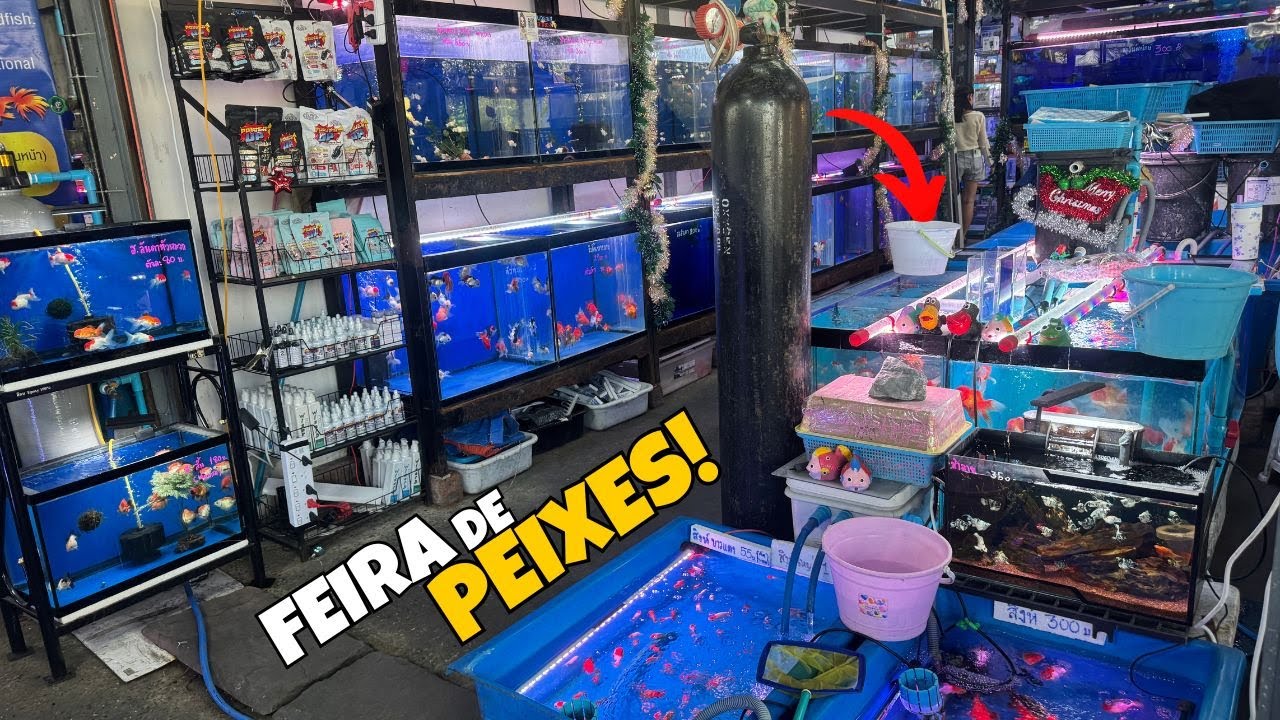 Dentro Da MAIOR FEIRA de PEIXES do Mundo!
