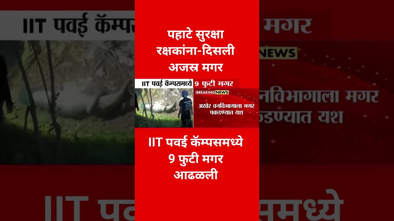 पवई कॅम्पसमध्ये 9 फूट..#ajitpawar #devendrafadnavis #shorts #shortvideo #eknathshinde #ajitdadapawar