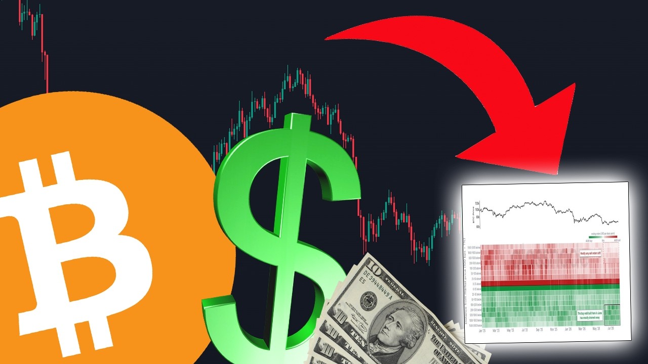BITCOIN...THE WHALES JUST CHANGED THEIR MIND