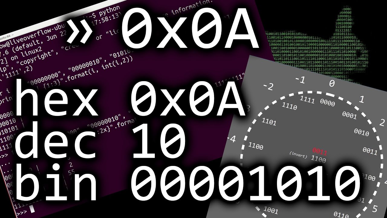 Работа с числами: шестнадцатеричными, двоичными и десятичными - bin 0x0A