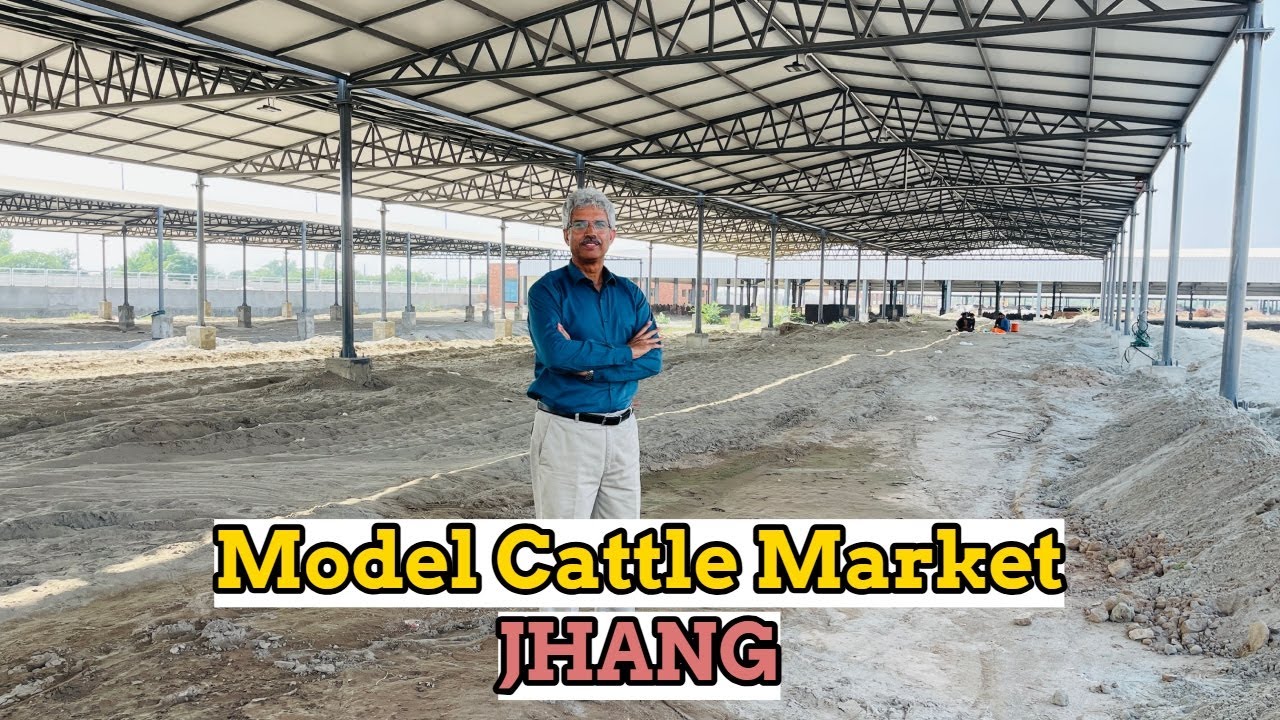 A Detailed Tour of Model Cattle Market Jhang | Amin Hafeez