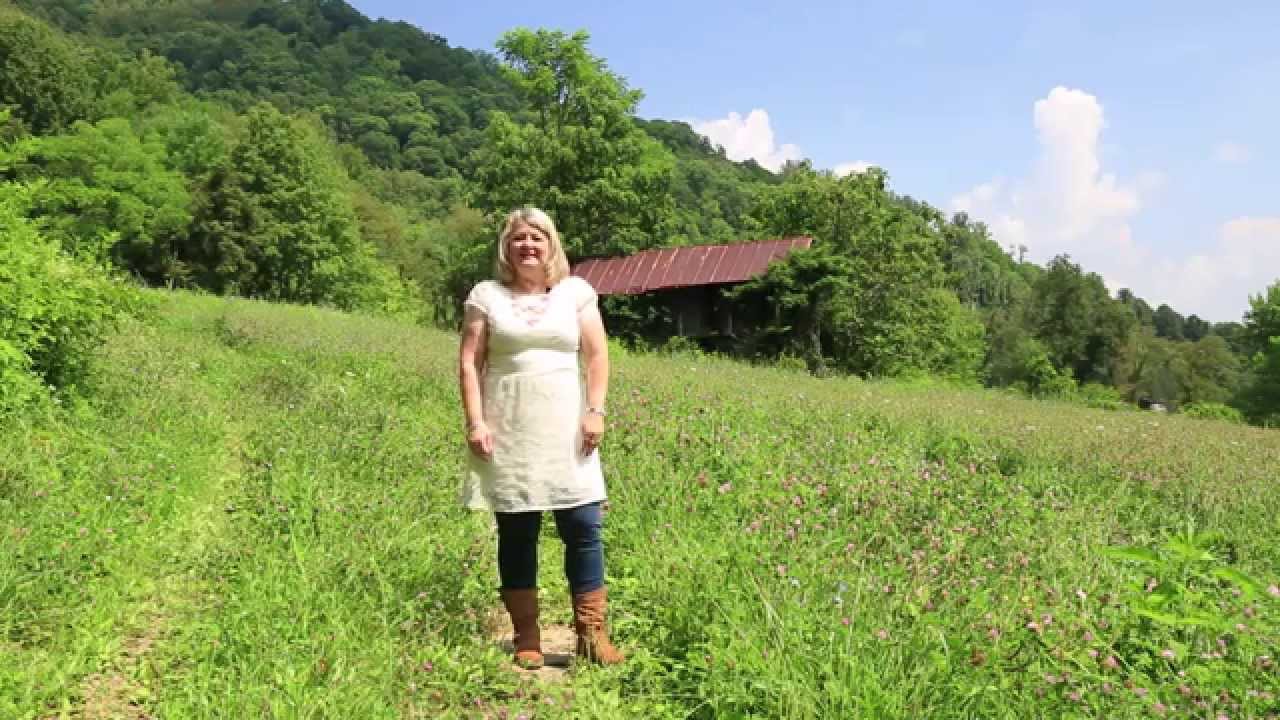 1077 N Turkey Creek Road Leicester NC 28748 | Mountain Charm Realty