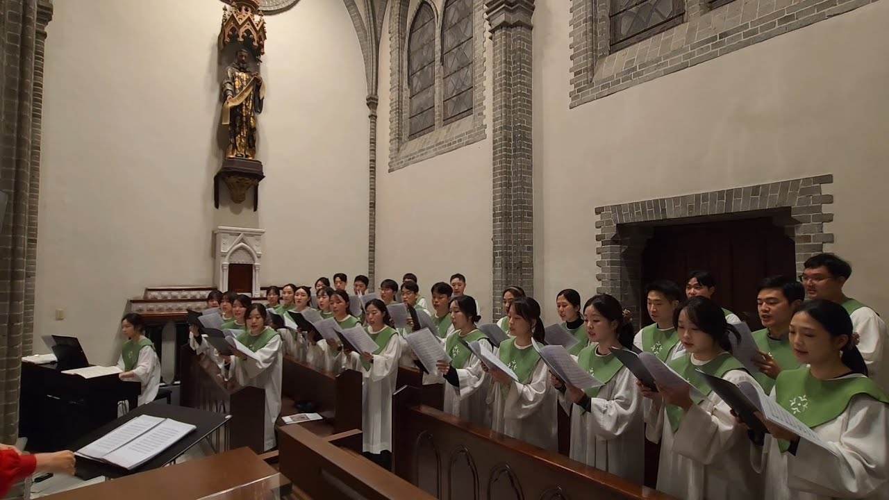 명동성당청년성가대엘리 | 20251026_주님 저를 받으소서 