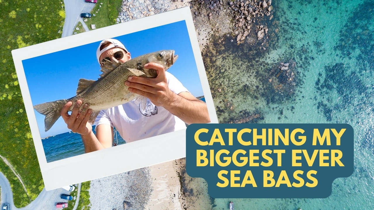 Shore Fishing for Sea Bass! NEW PB! Fishing for Bass with live worms! Fishing UK / GUERNSEY