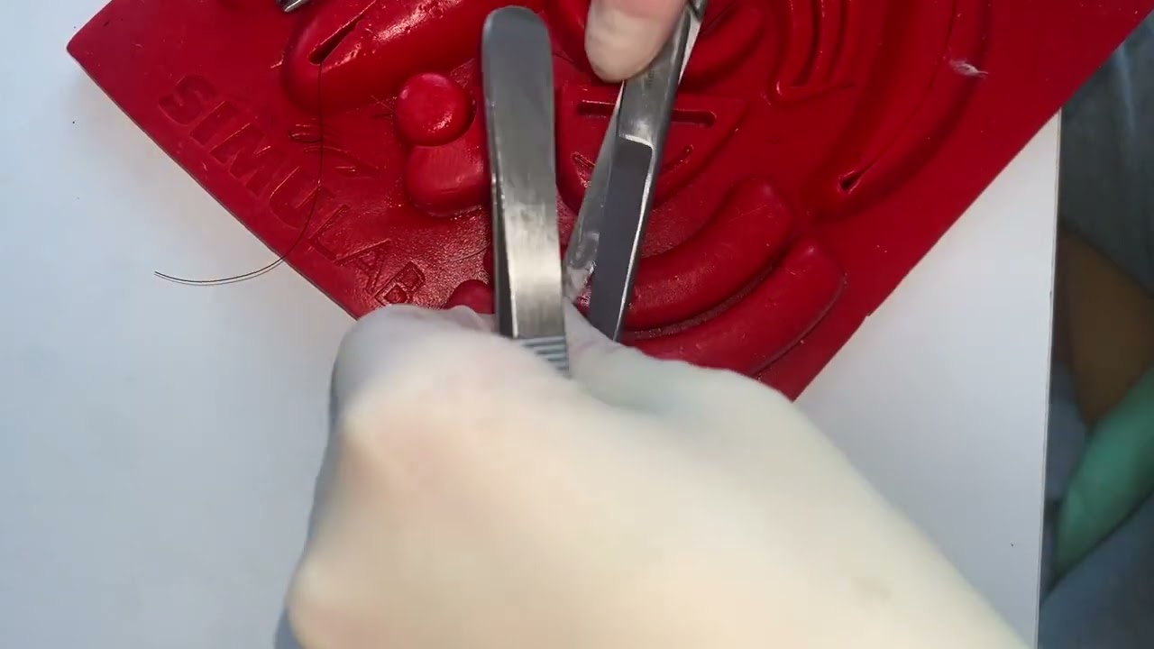 Mod 8: Scalp connective tissue closure- buried vertical mattress hand tie and instrument tie