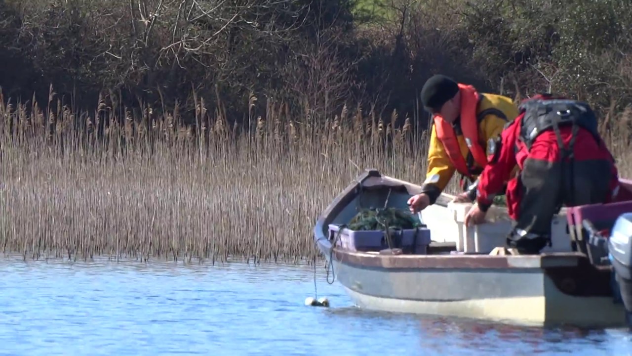 Inland Fisheries Ireland Gill Netting L.Conn.(Declan Cooke )I