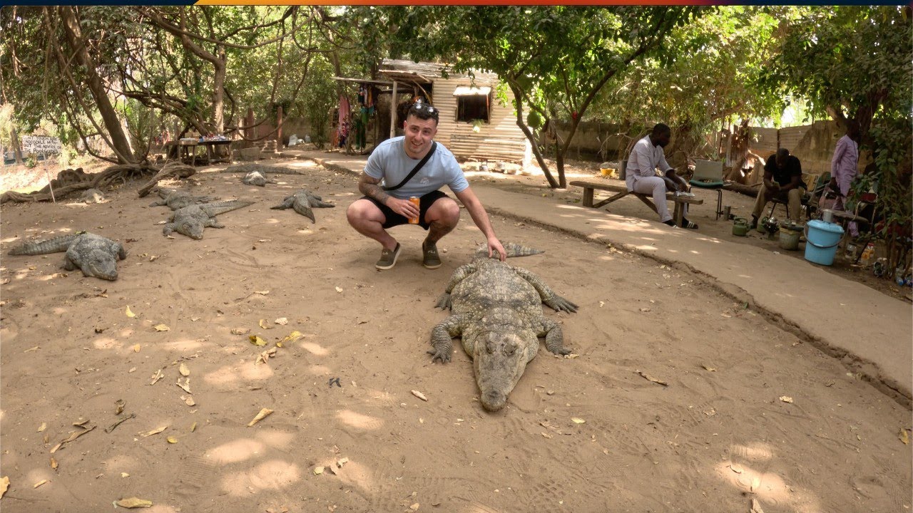 Gambia's Crocodile Quest:Street Biking Adventures with Wild Encounters!
