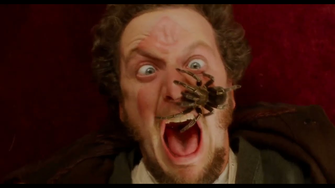Home Alone 1 1990 |  ALL TRAPS HD 1080p