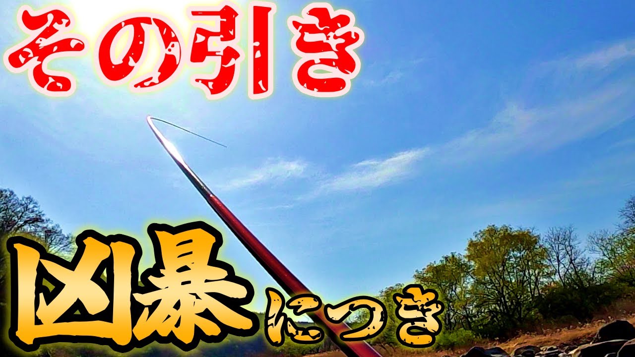 渓流釣りの域を超えている引きに唖然…凶暴な魚とのファイトがたまらない！