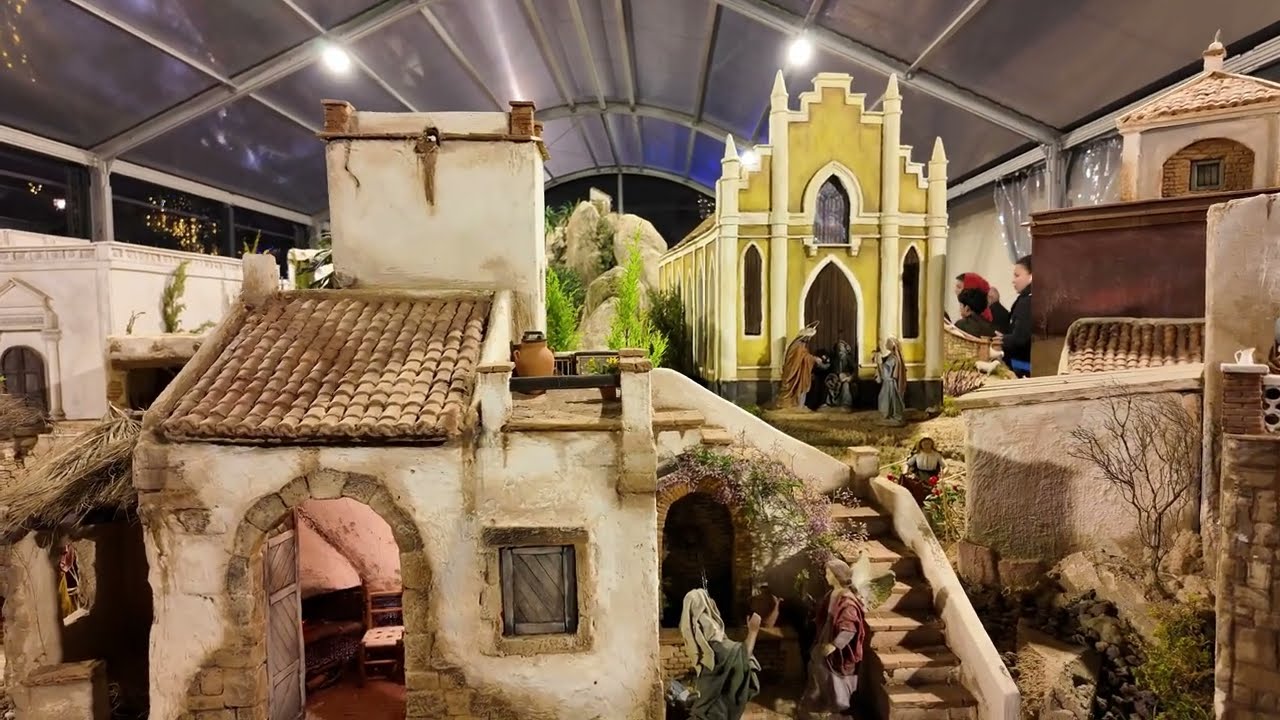Torrevieja 23 nov    14 dec  2024