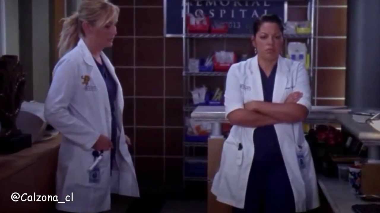 Callie y Arizona - Goodbye my lover
