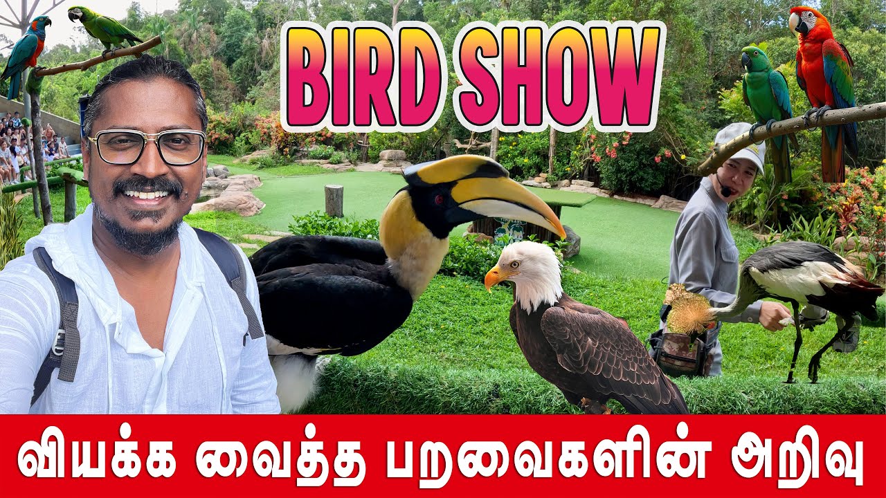 பறவைகளின் புத்தி கூர்மையை பாருங்கள் | Birds Show in Vin Pearl Safari | Vietnam EP8
