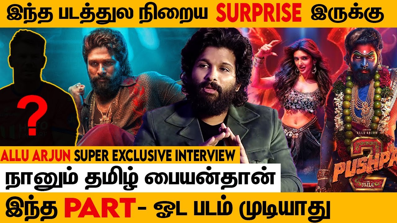 Actor, Producer-காக படம் எடுக்காதிங்க, மக்களுக்காக எடுங்க | Allu Arjun Throwback Interview, Pushpa 2