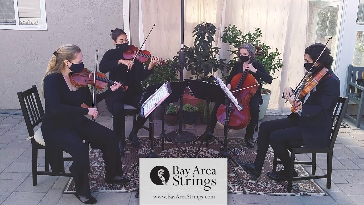 In My Life (The Beatles) ~ Bay Area Strings