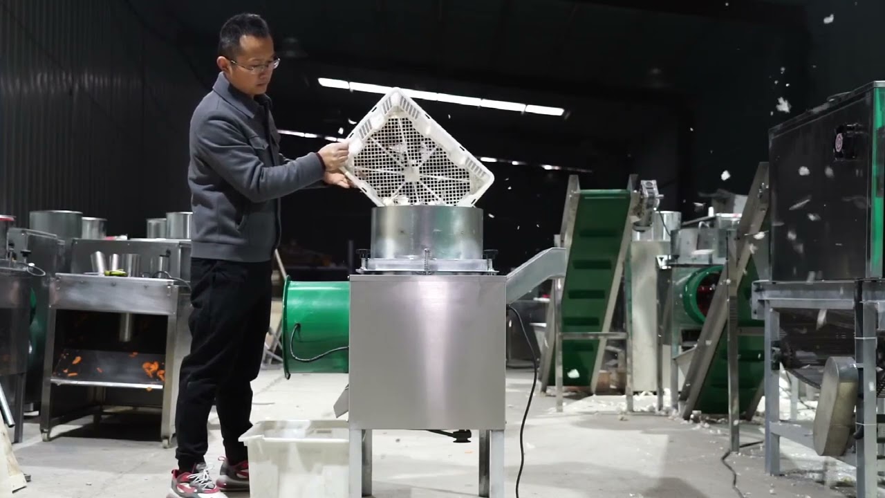 1000kg/h Garlic Bulb Separator Machine