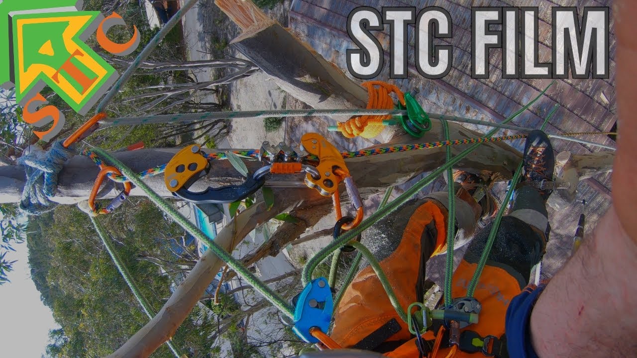 REALITY CHECK Working Away From Home 2020 STC FILM, STC Tree Services