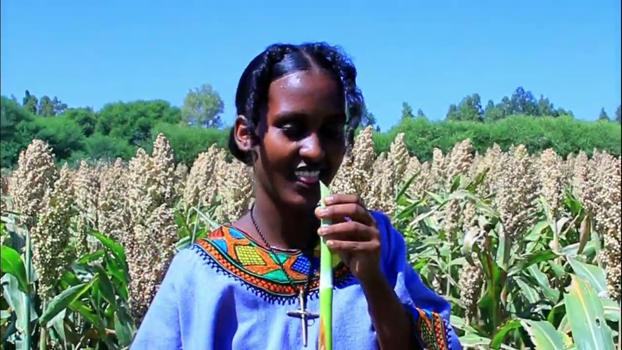 ናፈቀኝ  ራያ