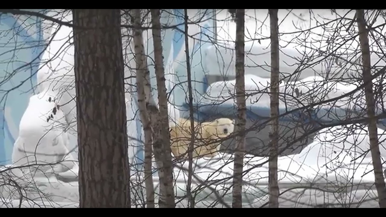 А вот и долгожданная Гердочка вышла на прогулку.And here is the long-awaited Gerda, out for a walk.