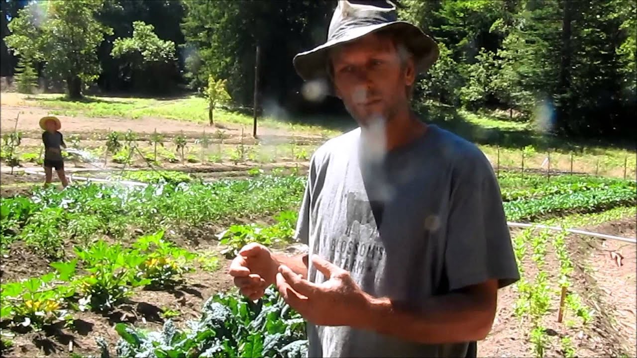 Amazing trip, wwoofing and California experience