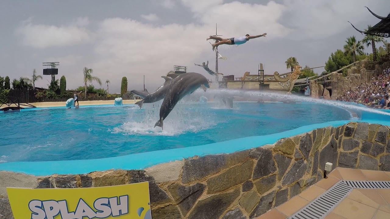 Part 1 Best Dolphins Show - Mundomar Benidorm 2018 Spain
