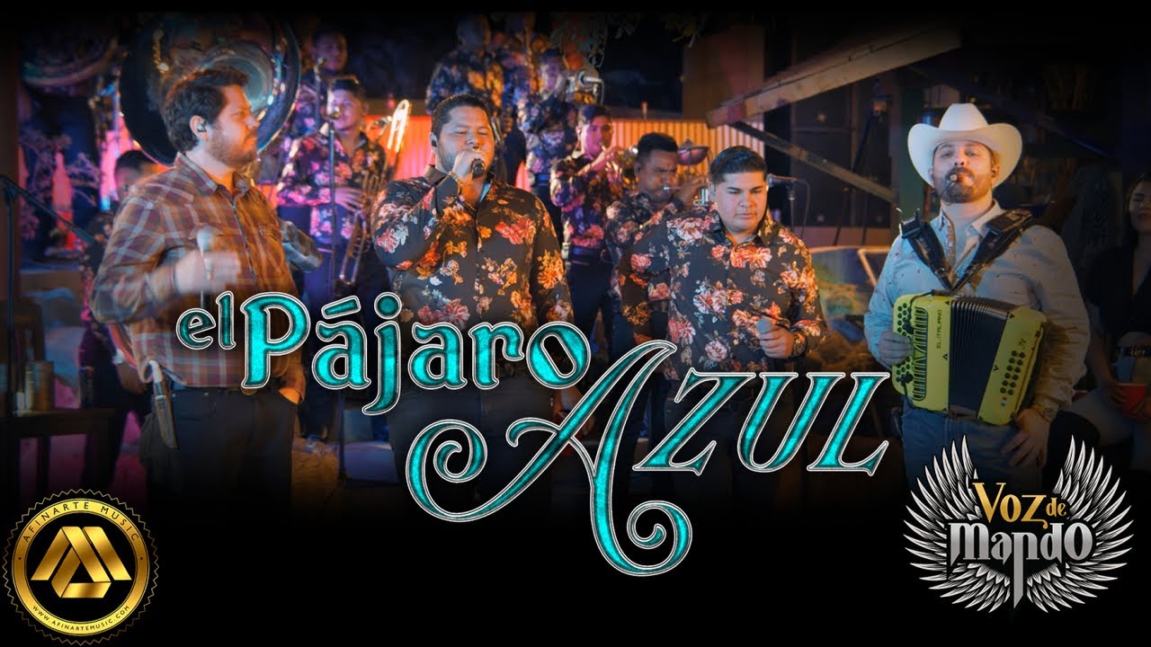 Voz de Mando - El Pájaro Azúl (Video Oficial)