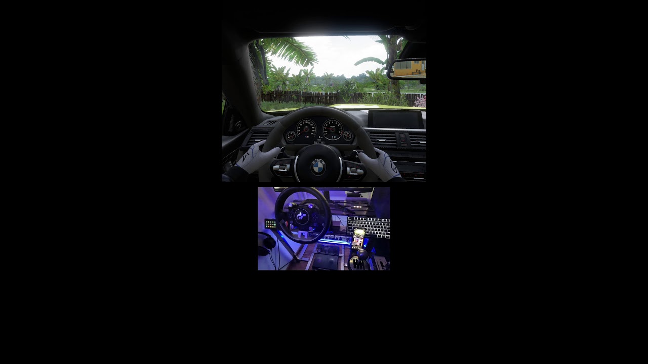 Forza Horizon 5 Live steering wheel