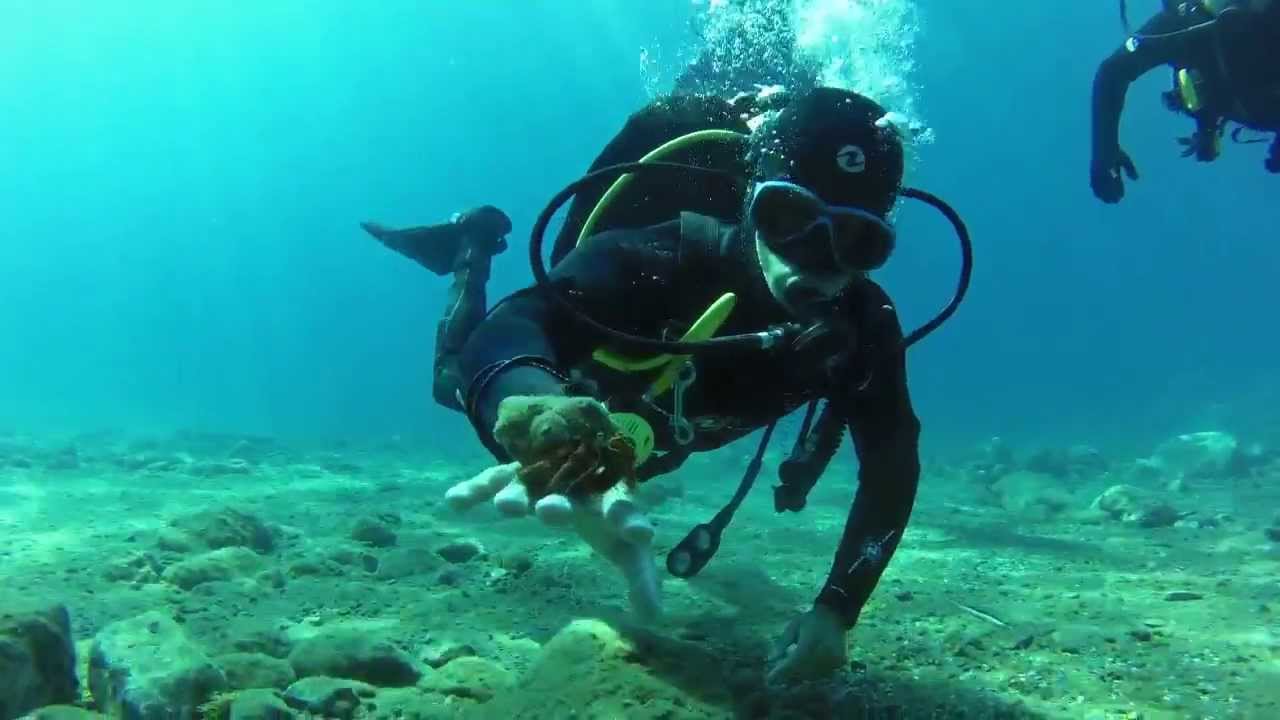 Submarinismo: Roqueo de los 14 en Marina del Este, la Herradura. Almuñécar