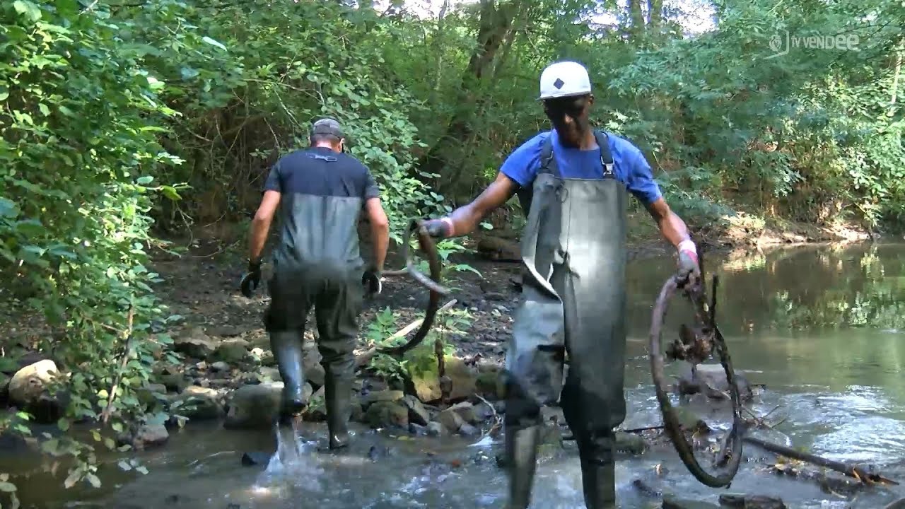 Environnement : opération de nettoyage des berges de l'Yon