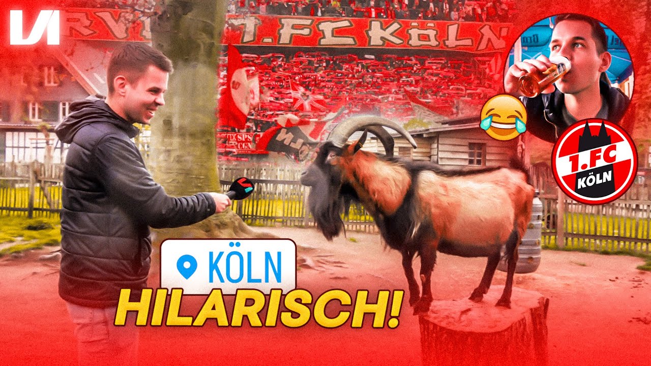 😂 GEVAARLIJKE GEITEN, VOETBAL & BAS DRONKEN in K&Ouml;LN?!