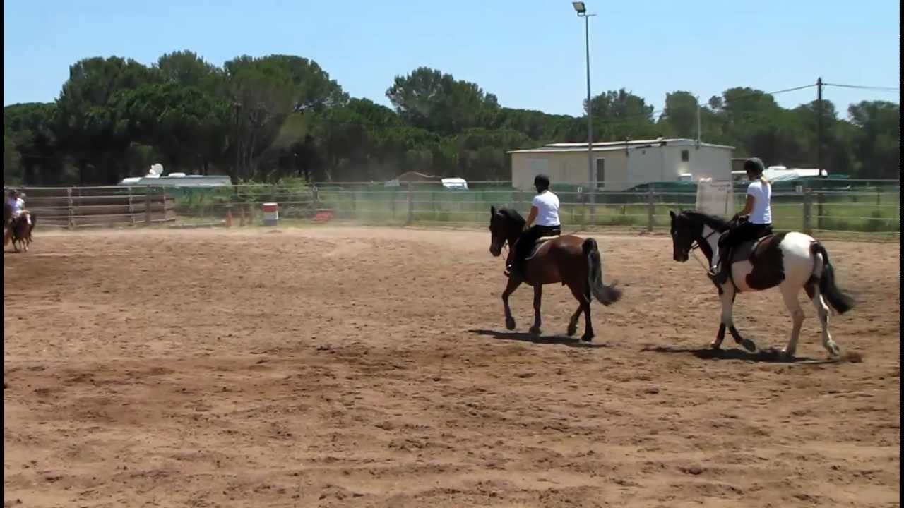 F&ecirc;te au Haras de L'Espinette