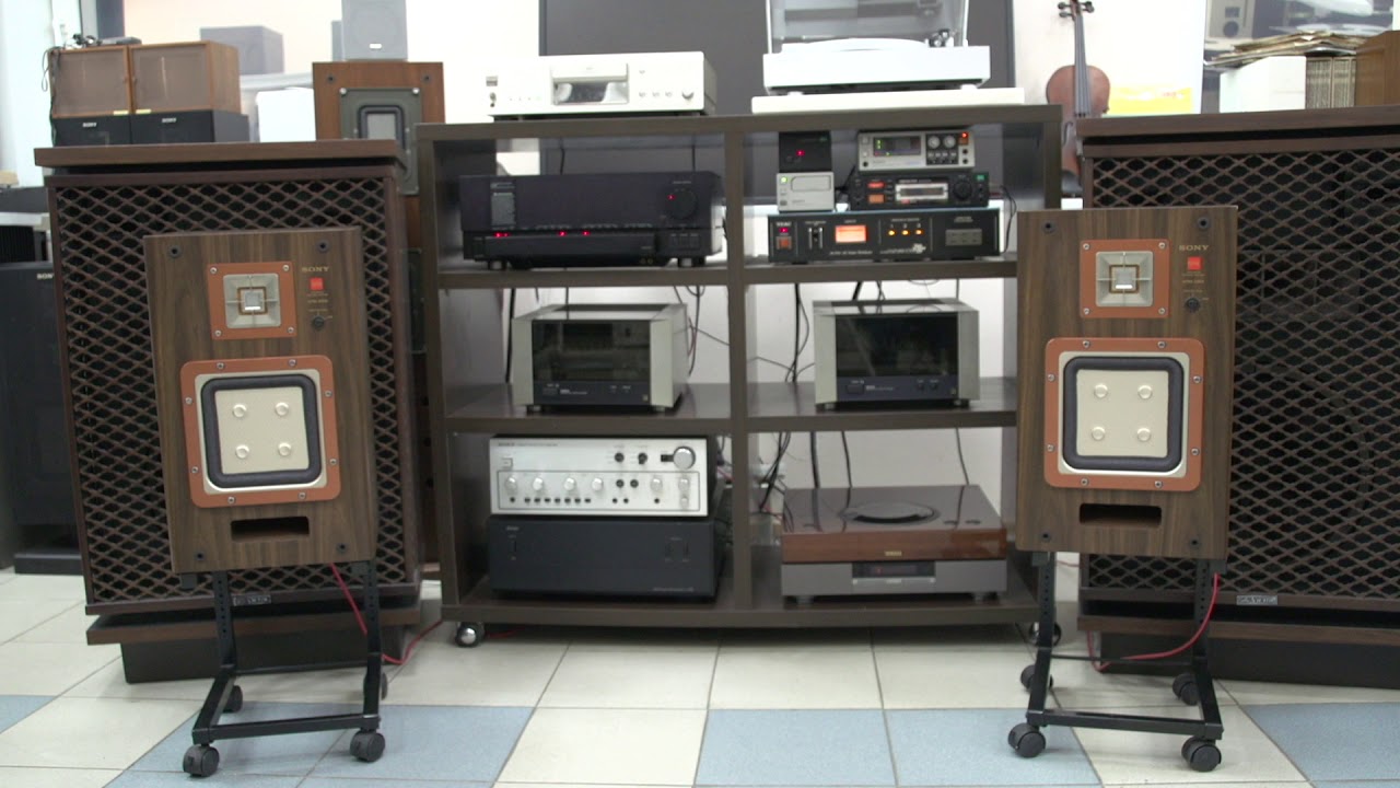 SONY APM-22ES