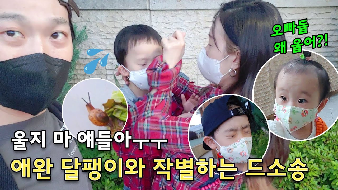 정들었던 달팽이 친구들과 헤어질 시간이에요…  드소송이 이별하는 방법