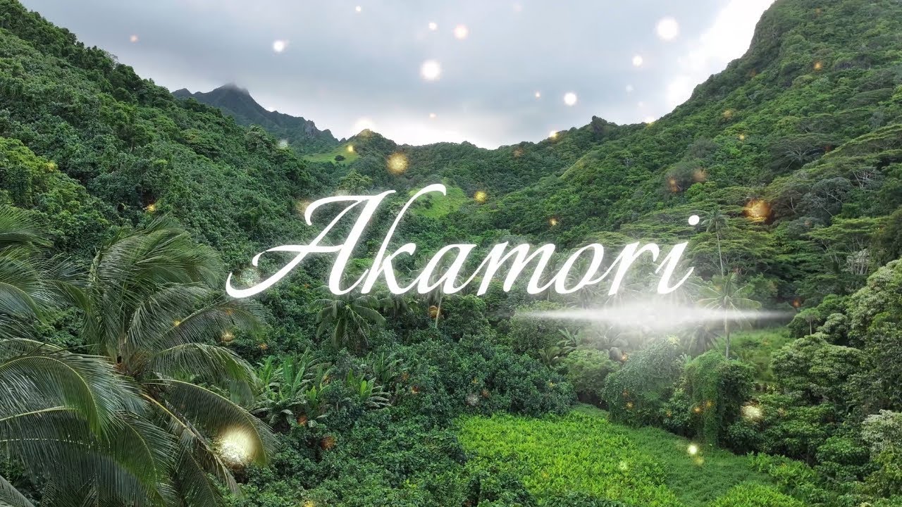Akamori