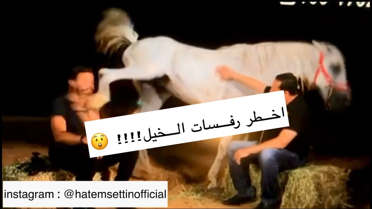 اخطر رفسات الخيل كان لى نصيب منها 😲