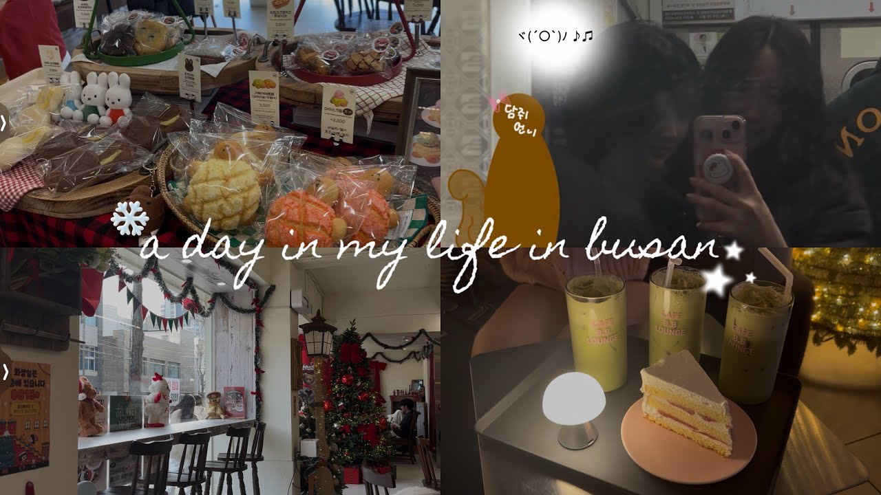 【유학생 VLOG】 방어 사랑단이 가는 방어를 위한 부산 당일치기 🐟🩵 겨울에 방어를 안 먹는 건 말이 안 됨‼️