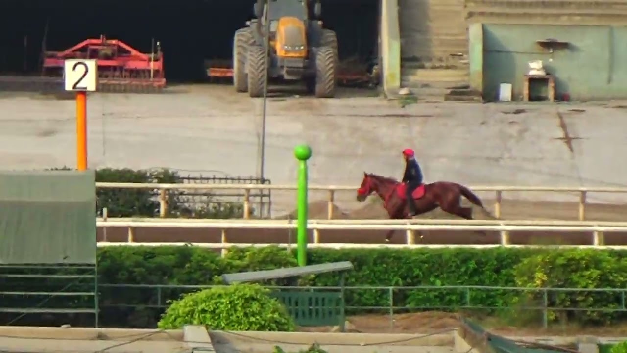 Satoshi Nakamoto (Super Nao) H. Rancho Fatima 08.01.26