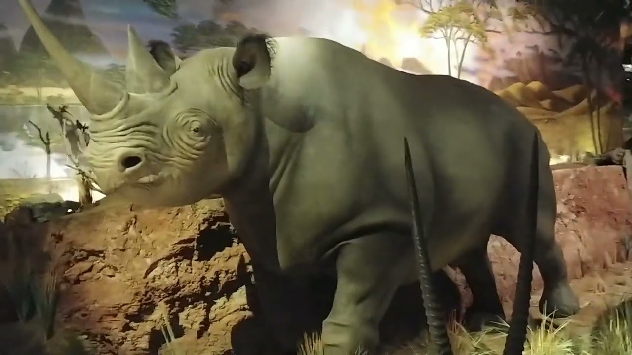 BLACKHAWK MUSEUM: WORLD OF NATURE Exhibit | Walking Tour | California