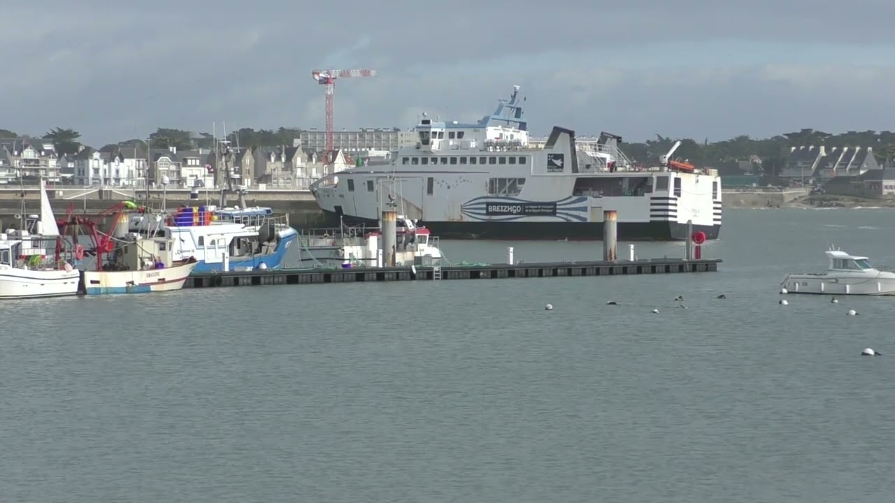Départ Bateau Vindilis pour Belle ile en mer dimanche 1er fevrier 2026 14h15
