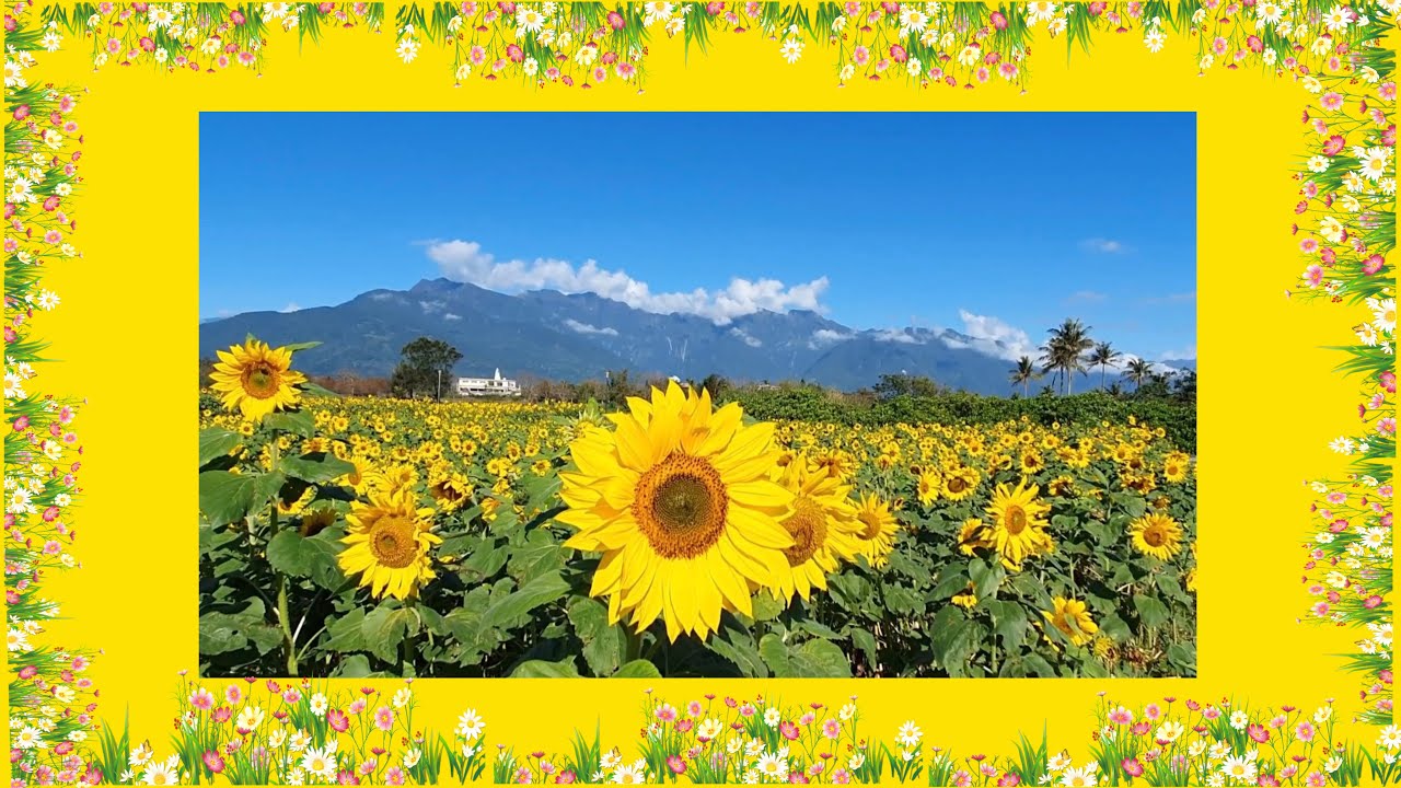 ARRIVA LA PRIMAVERA CON PROFUMI E COLORI 