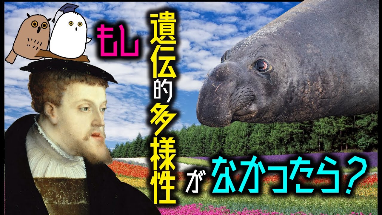 【ゆっくり解説】ハプスブルク家の過ちから学ぶ遺伝的多様性の重要性：集団遺伝学【科学 / 生物多様性 / 進化】
