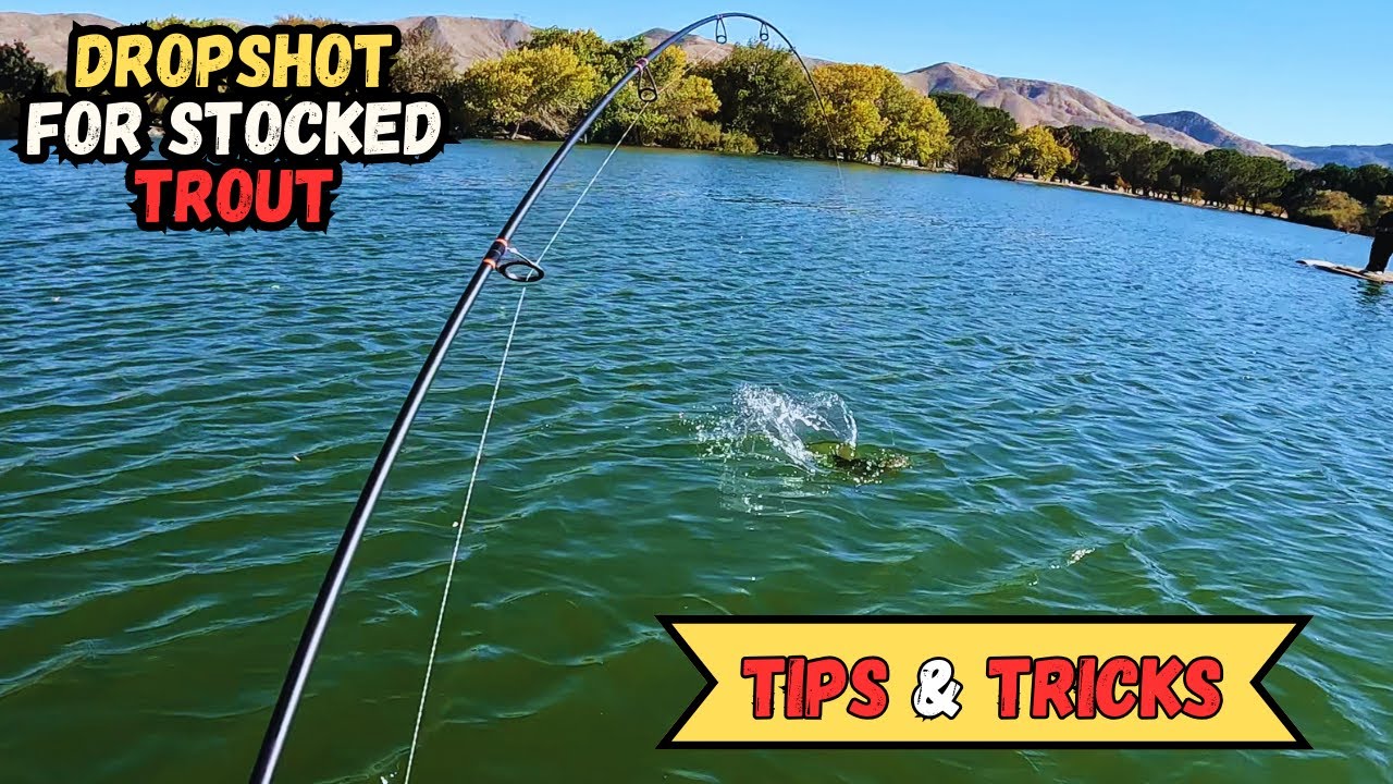 Trout Fishing Tips and Techniques - Hesperia Lake Trout Opener 2023