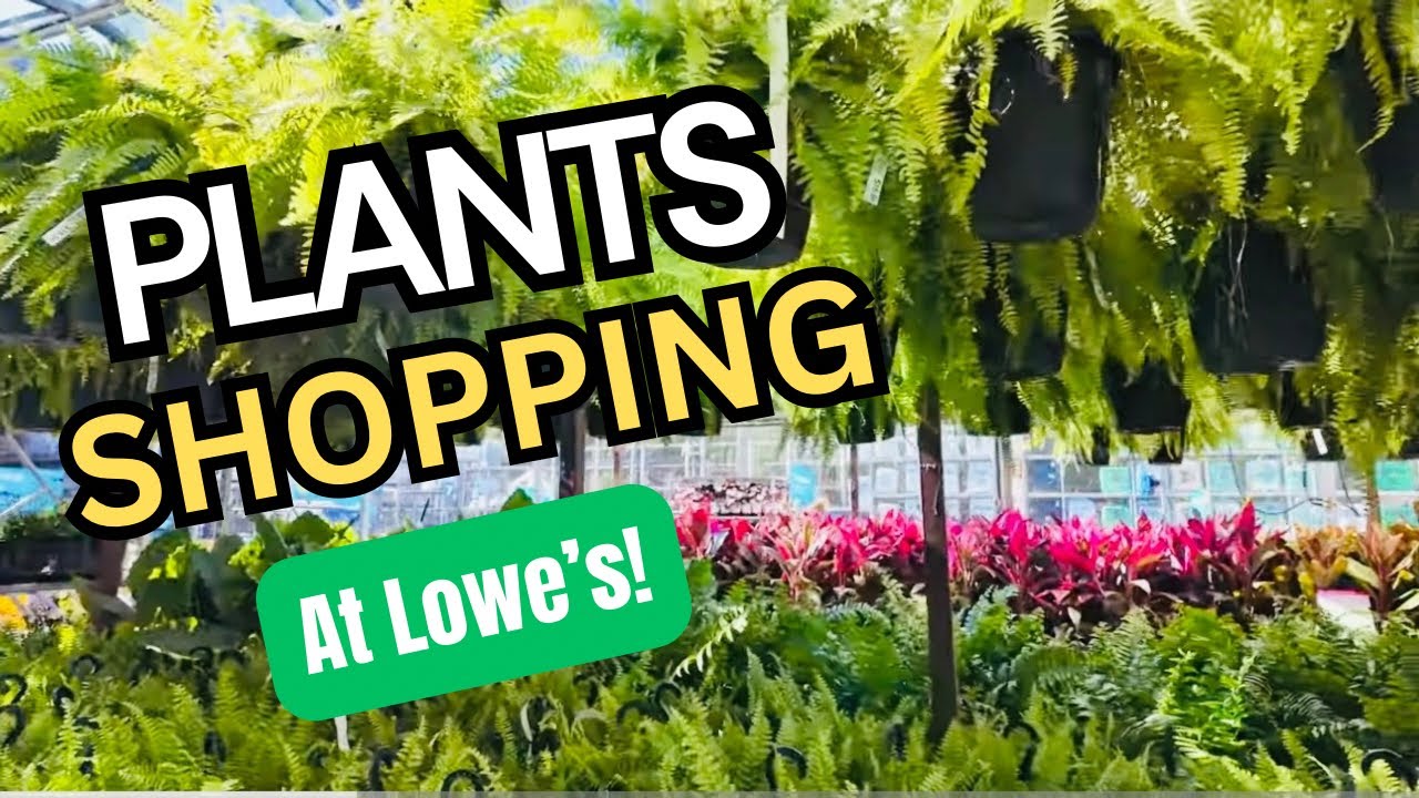 From Lowe’s to the Backyard 🌿 Come Plant Shopping With Us