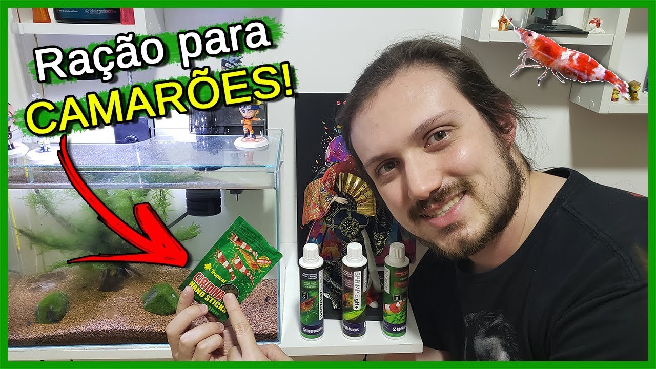 Como Alimentar seus CAMARÕES Corretamente!