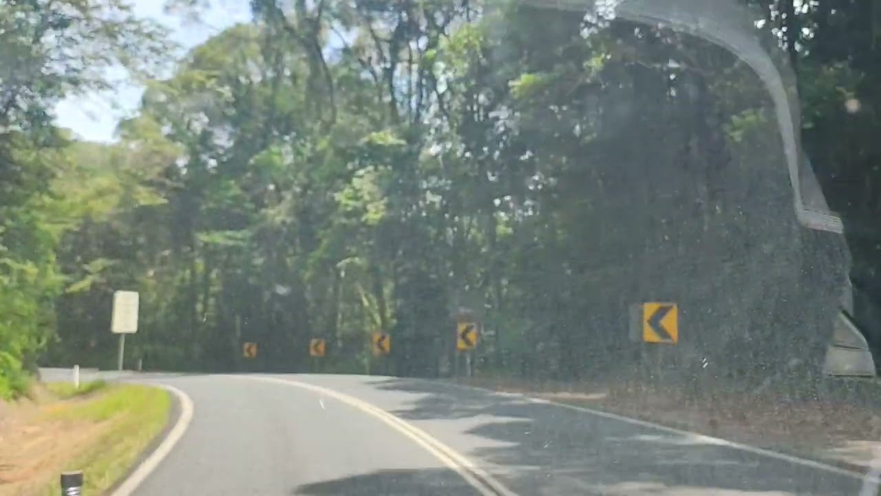Driving in the world heritage rainforest