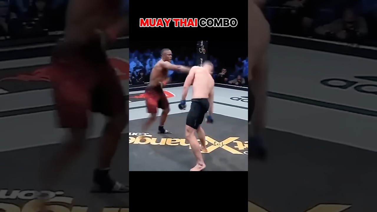 Muay Thai combo 🥊 #muaythai #mma #martialarts #fighter #training