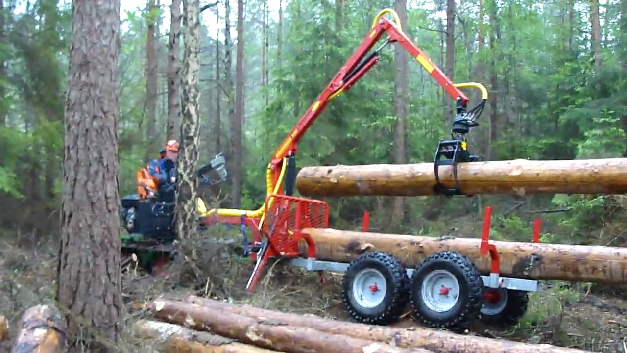 Oxen med Kranman 01.mp4