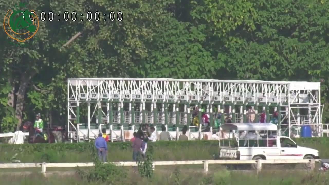 LIVE STREAM LRC| 12TH NOVEMBER 2023| 11TH DAY