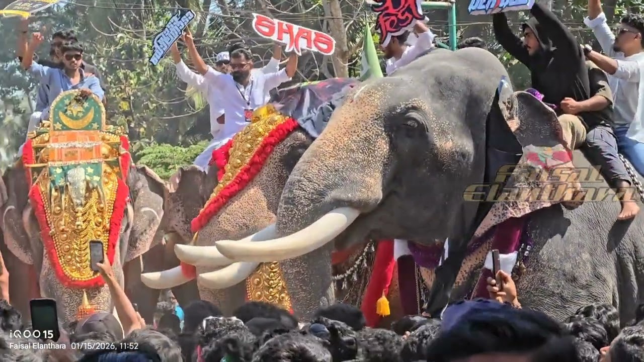 ചന്ദ്രത്തി ചന്ദനക്കുടം കൊടിയേറ്റ കാഴ്ച 2026 #pooram #uthsavam #elephant #shinkarimelam #