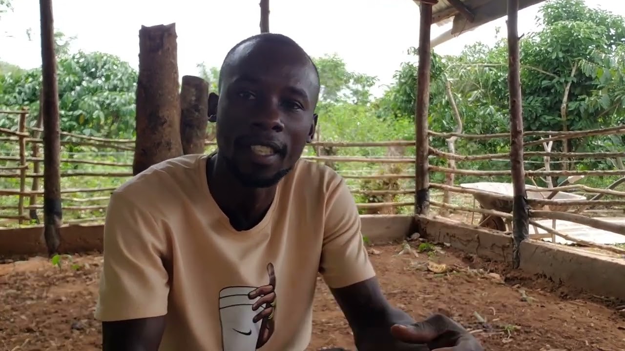 How We Built Our GOAT Shed - Tips